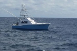 sport-fishing-charters